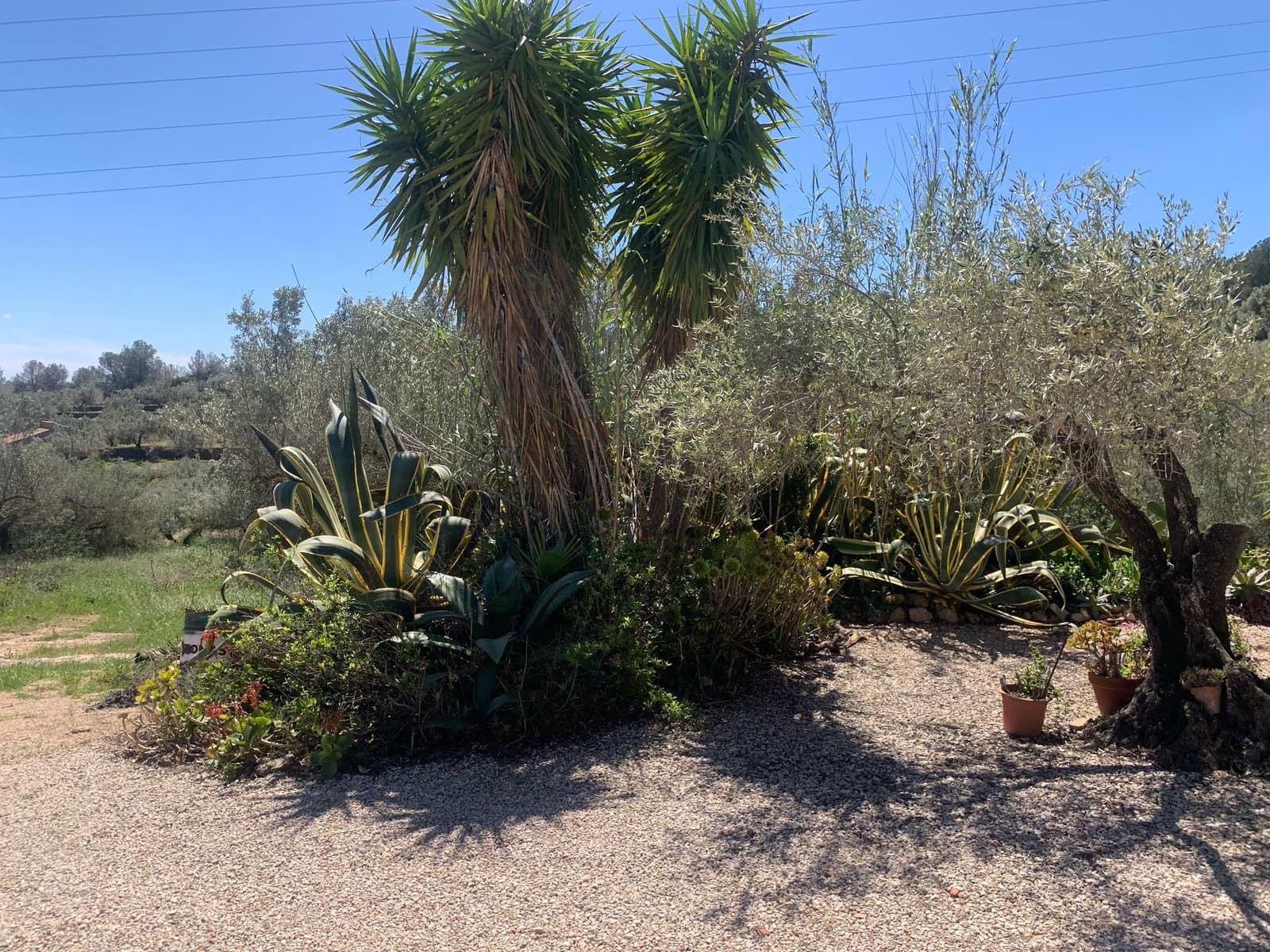 2 soveværelse Finca/Landehus til salg i El Perello med swimmingpool garage - € 295.000 (Ref: 8977604)