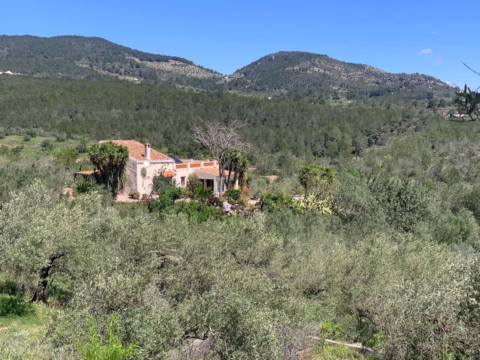 2 soveværelse Finca/Landehus til salg i El Perello med swimmingpool garage - € 295.000 (Ref: 8977604)