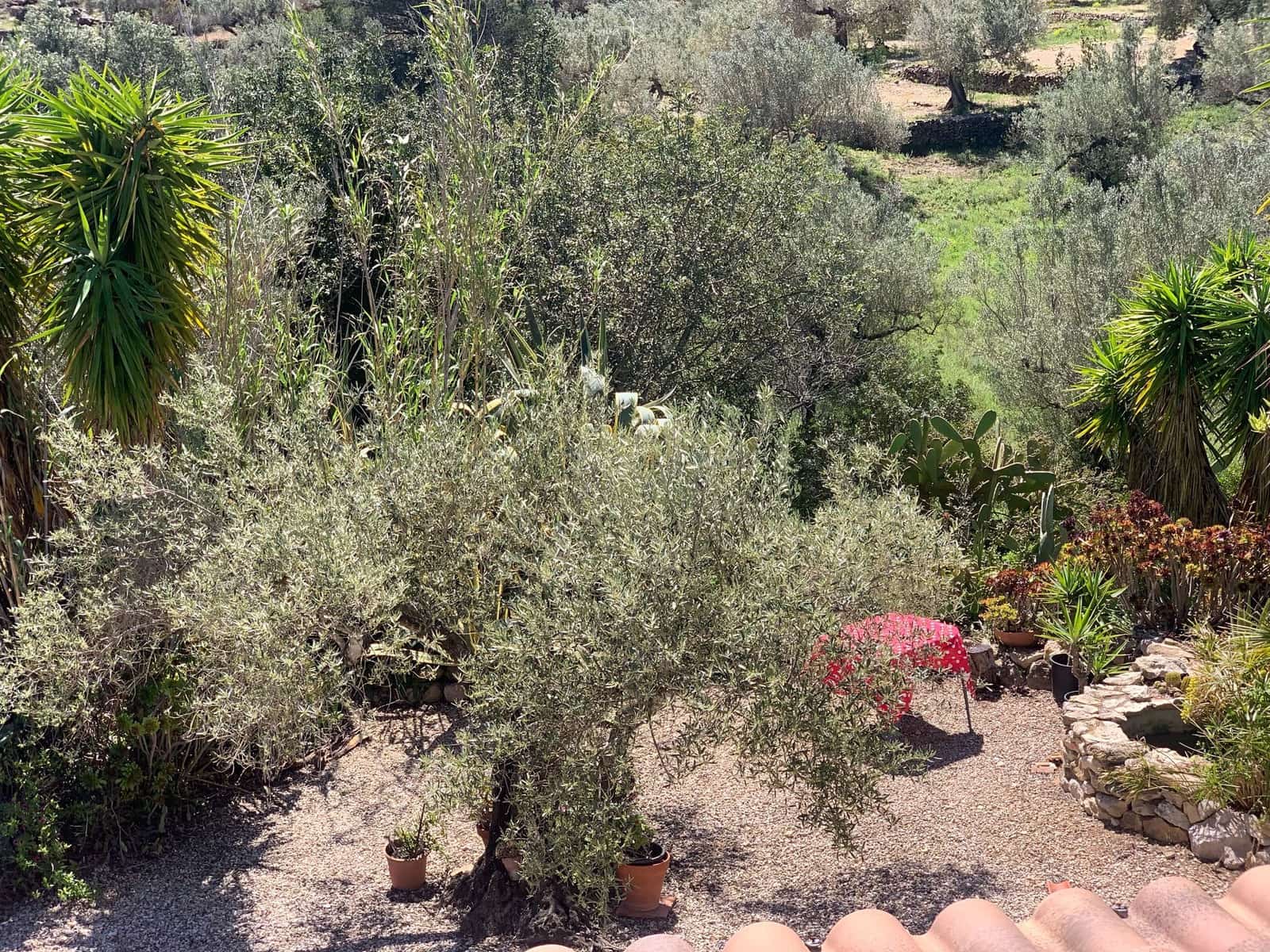 2 soveværelse Finca/Landehus til salg i El Perello med swimmingpool garage - € 295.000 (Ref: 8977604)