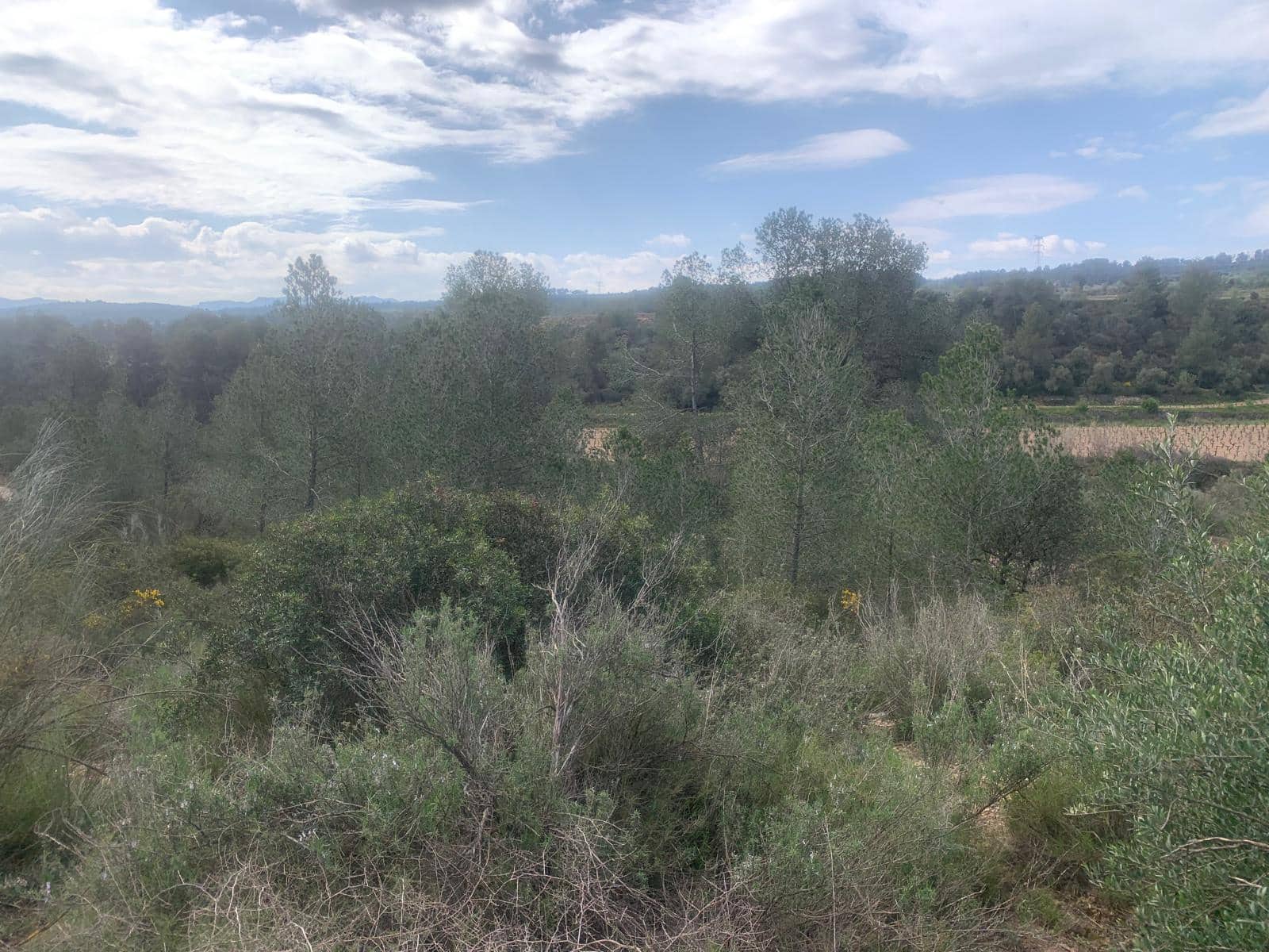 Grunde uden byggetilladelser til salg i Garcia - € 15.000 (Ref: 8979864)