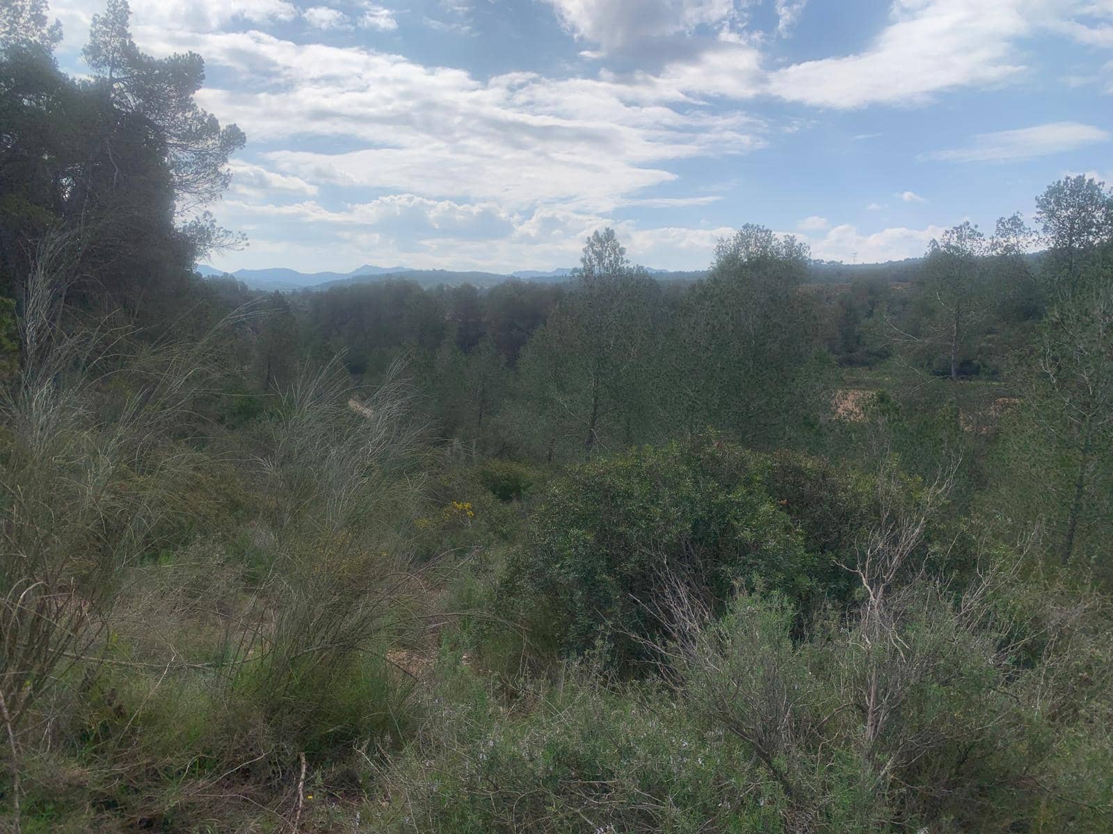 Grunde uden byggetilladelser til salg i Garcia - € 15.000 (Ref: 8979864)