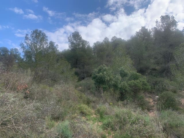 Mark till salu i Garcia - 15 000 € (Ref: 8979864)