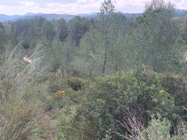 Mark till salu i Garcia - 15 000 € (Ref: 8979864)