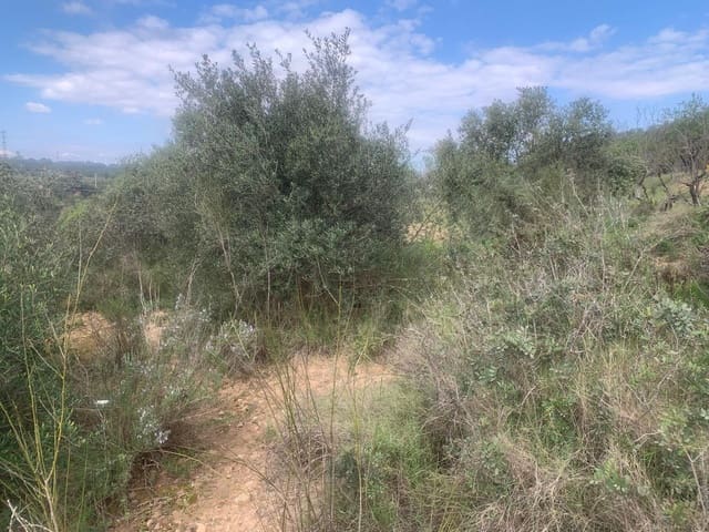 Mark till salu i Garcia - 5 000 € (Ref: 8979864)
