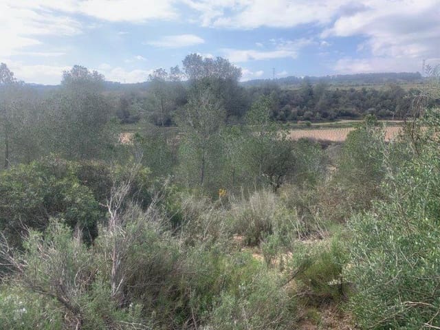 Mark till salu i Garcia - 5 000 € (Ref: 8979864)