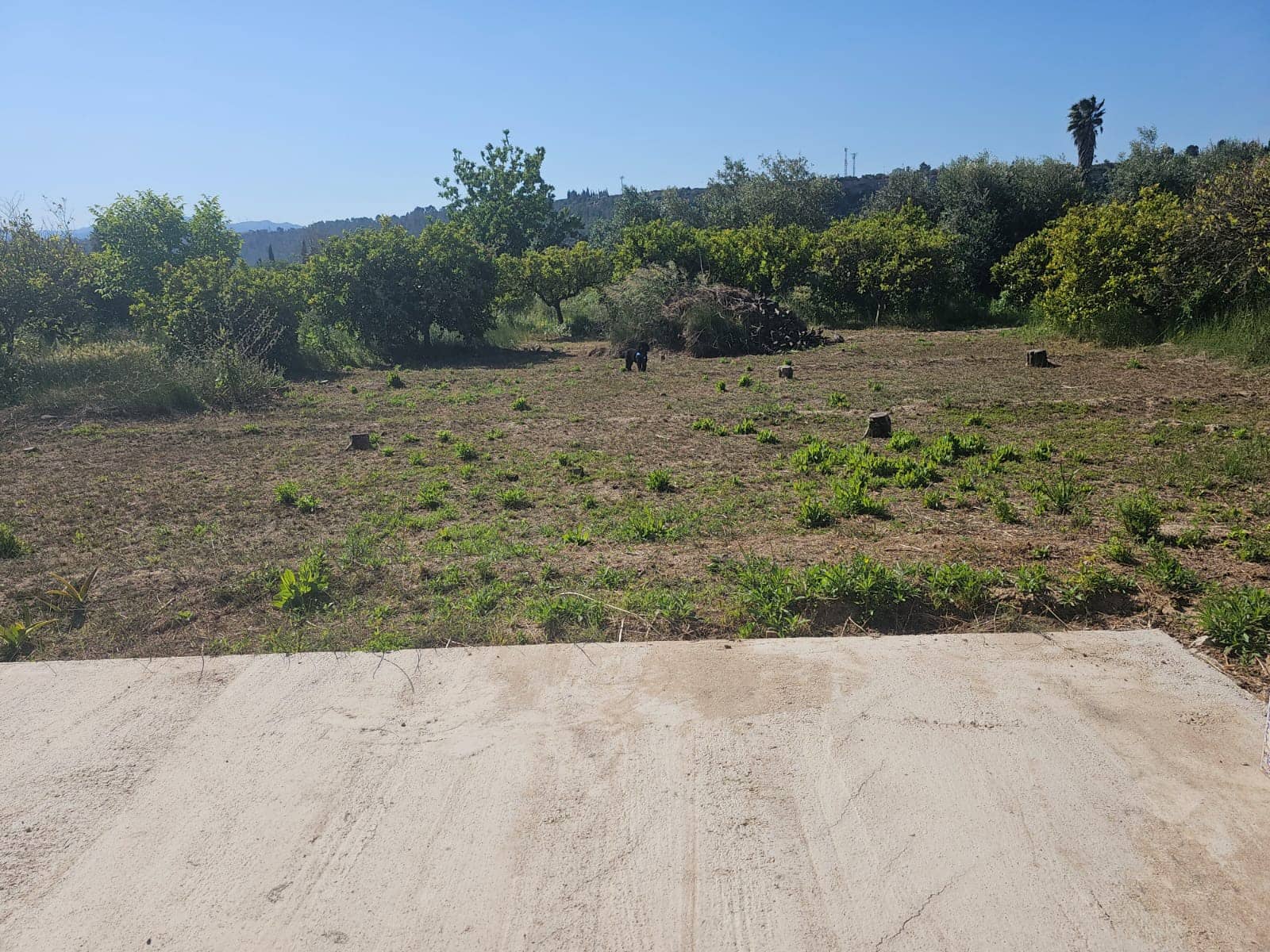 1 bedroom Finca/Country House for sale in Xerta with garage - € 75,000 (Ref: 8994165)