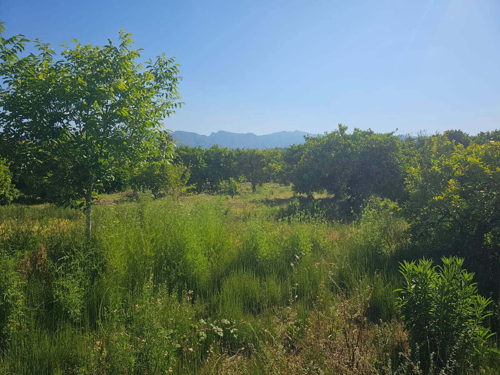 1 bedroom Finca/Country House for sale in Xerta with garage - € 75,000 (Ref: 8994165)