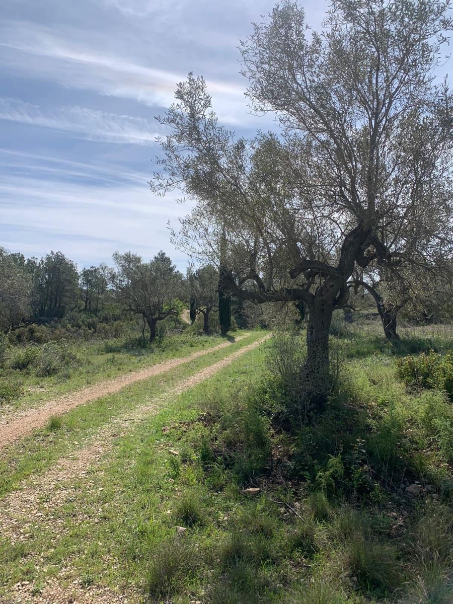 2 soveværelse Finca/Landehus til salg i Tortosa - € 139.000 (Ref: 9006655)