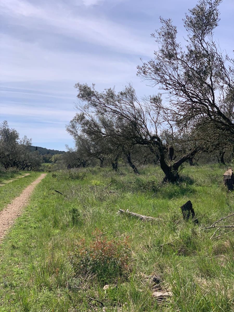 2 soveværelse Finca/Landehus til salg i Tortosa - € 139.000 (Ref: 9006655)