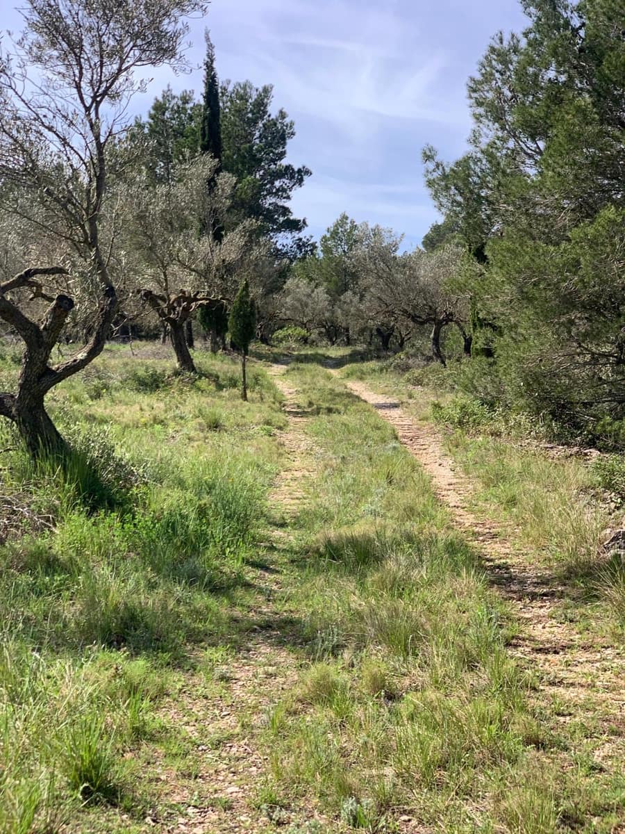 2 soveværelse Finca/Landehus til salg i Tortosa - € 139.000 (Ref: 9006655)