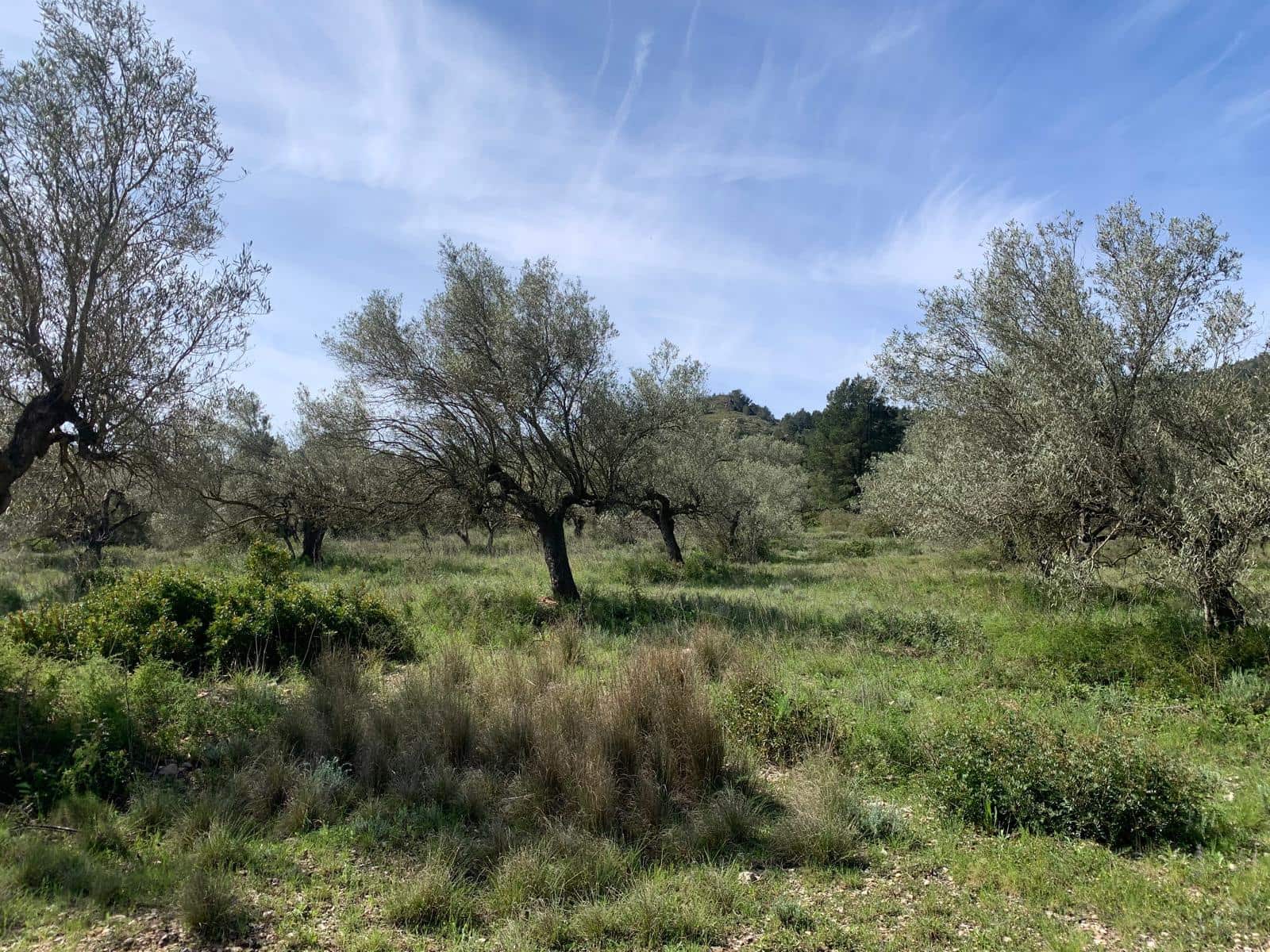 2 soveværelse Finca/Landehus til salg i Tortosa - € 139.000 (Ref: 9006655)