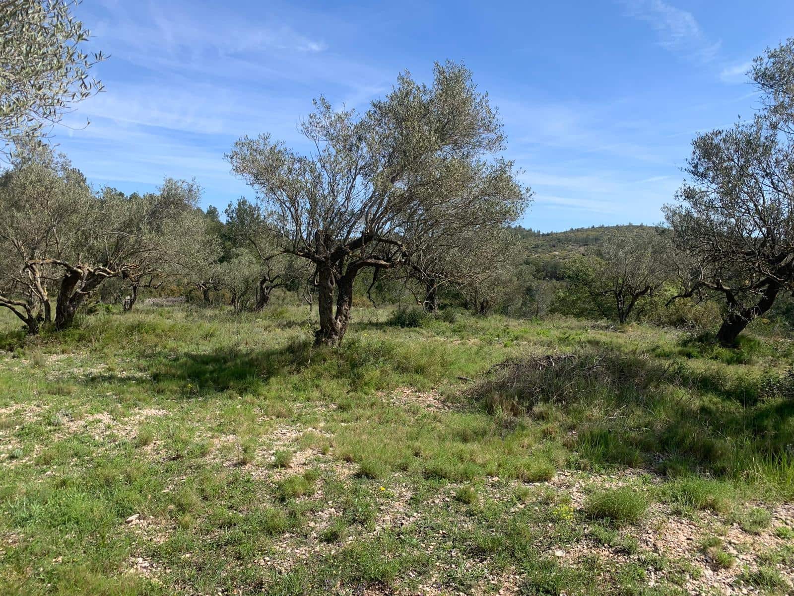 2 soveværelse Finca/Landehus til salg i Tortosa - € 139.000 (Ref: 9006655)