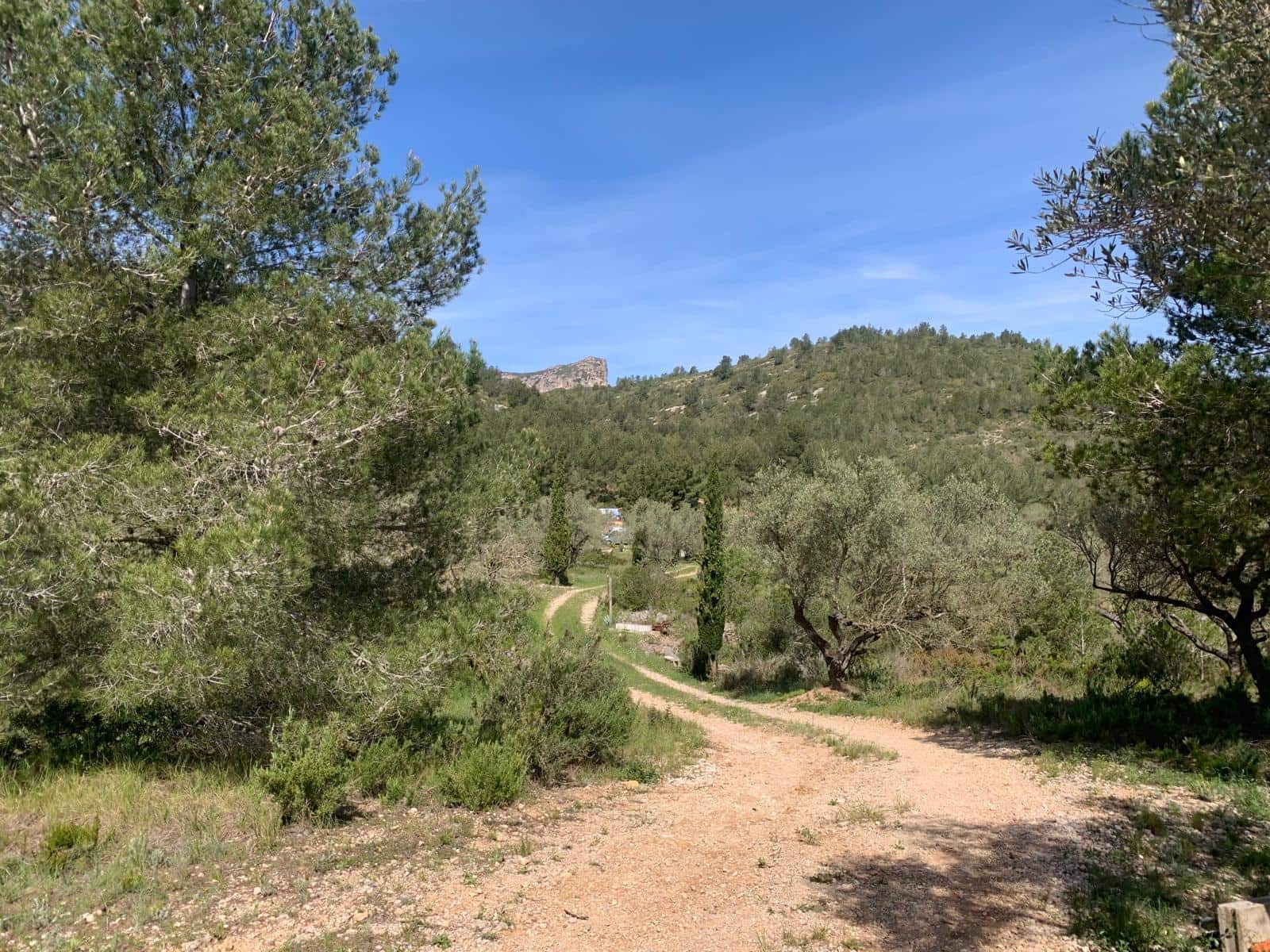 2 soveværelse Finca/Landehus til salg i Tortosa - € 139.000 (Ref: 9006655)
