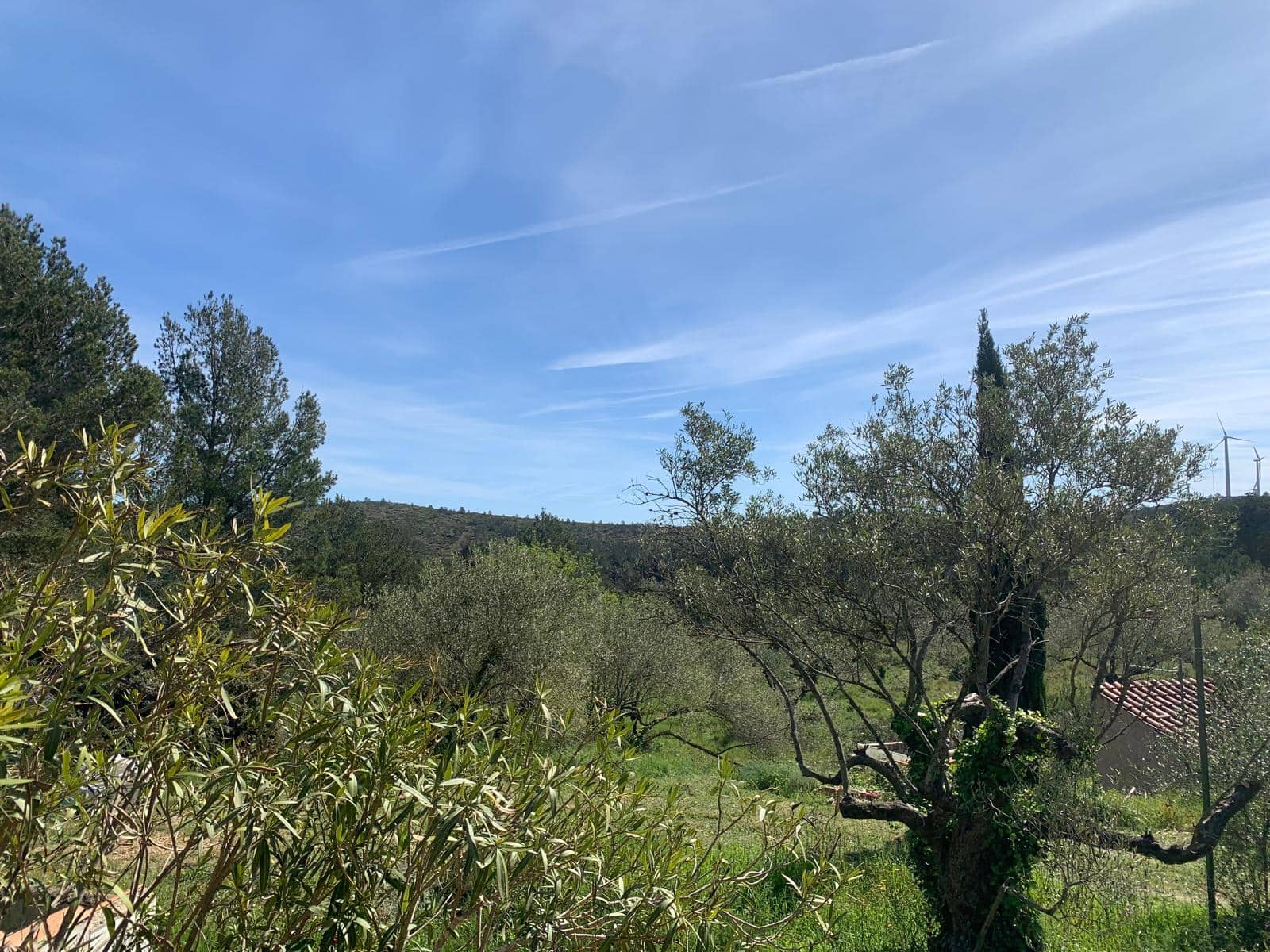 2 soveværelse Finca/Landehus til salg i Tortosa - € 139.000 (Ref: 9006655)
