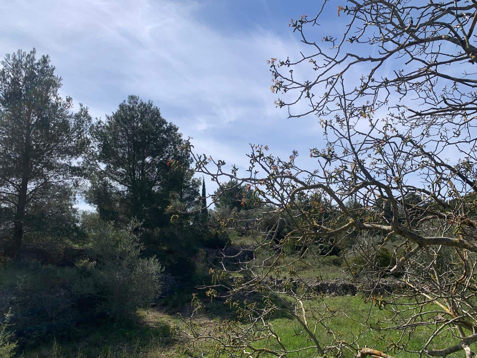 2 soveværelse Finca/Landehus til salg i Tortosa - € 139.000 (Ref: 9006655)