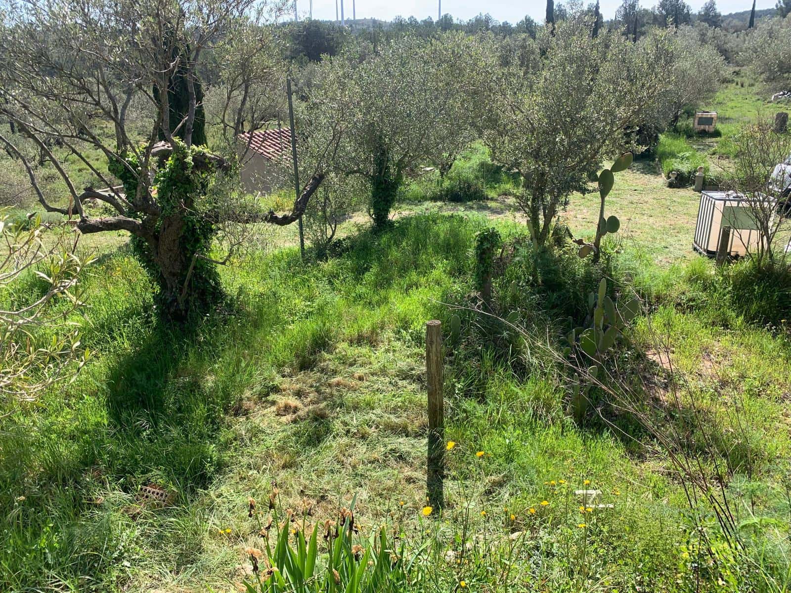 2 soveværelse Finca/Landehus til salg i Tortosa - € 139.000 (Ref: 9006655)