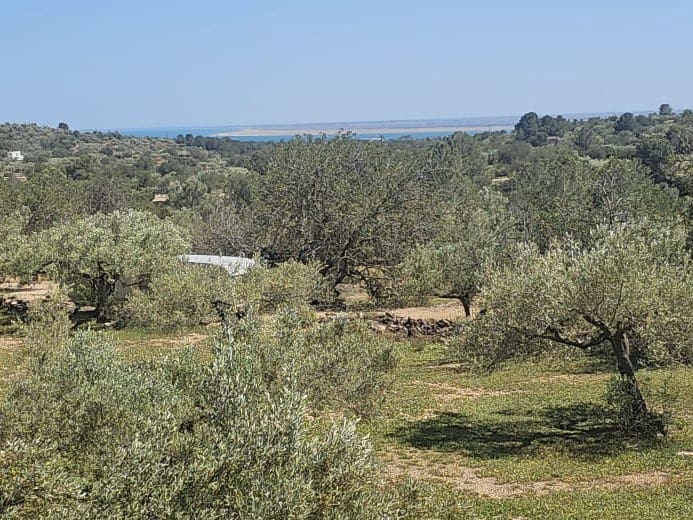 2 soveværelse Finca/Landehus til salg i El Perello - € 115.000 (Ref: 9023861)