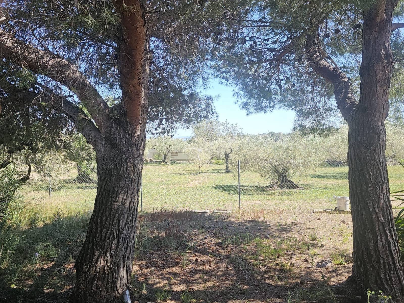 2 soveværelse Finca/Landehus til salg i El Perello - € 115.000 (Ref: 9023861)