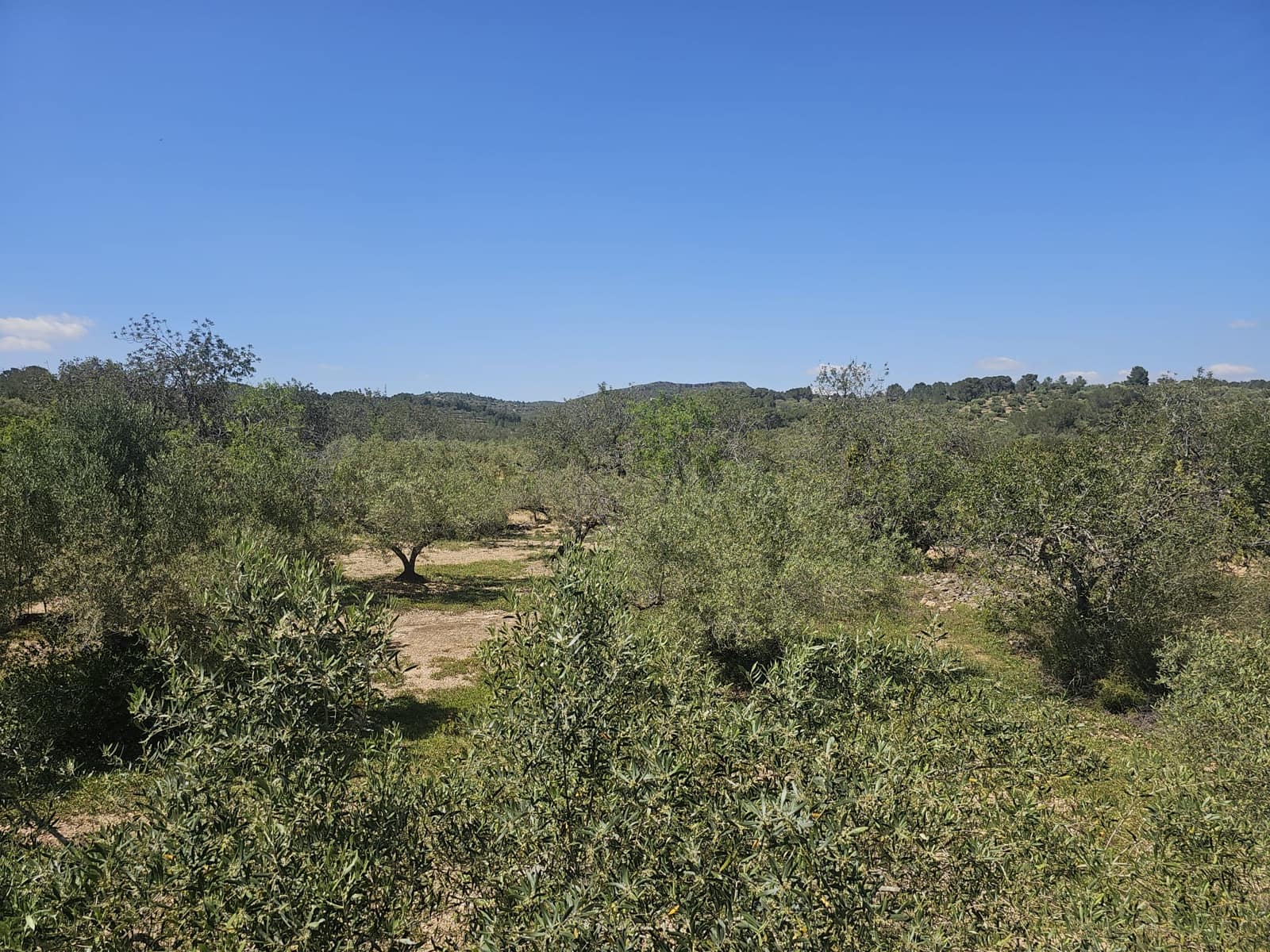 2 soveværelse Finca/Landehus til salg i El Perello - € 115.000 (Ref: 9023861)