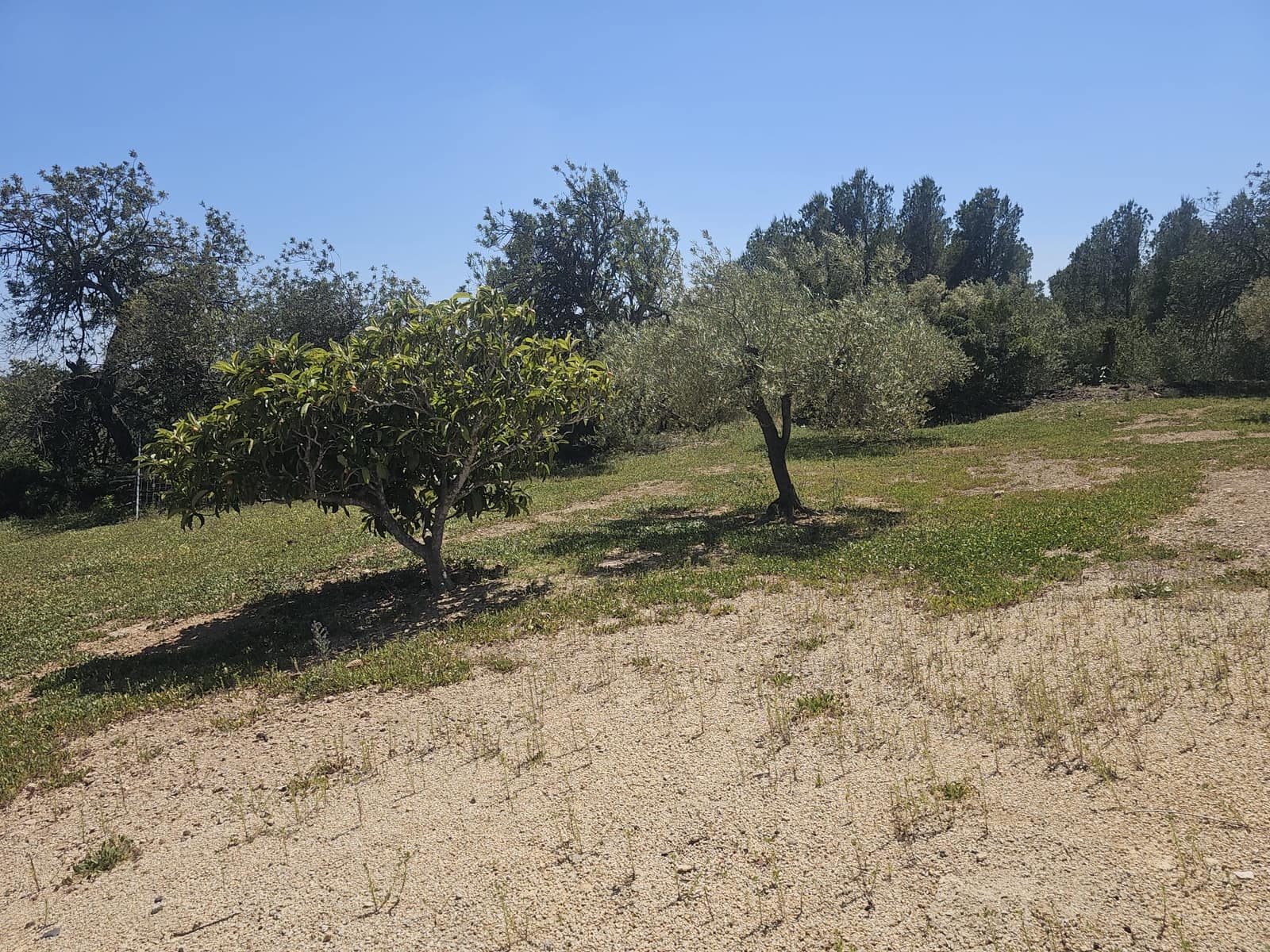 2 soveværelse Finca/Landehus til salg i El Perello - € 115.000 (Ref: 9023861)