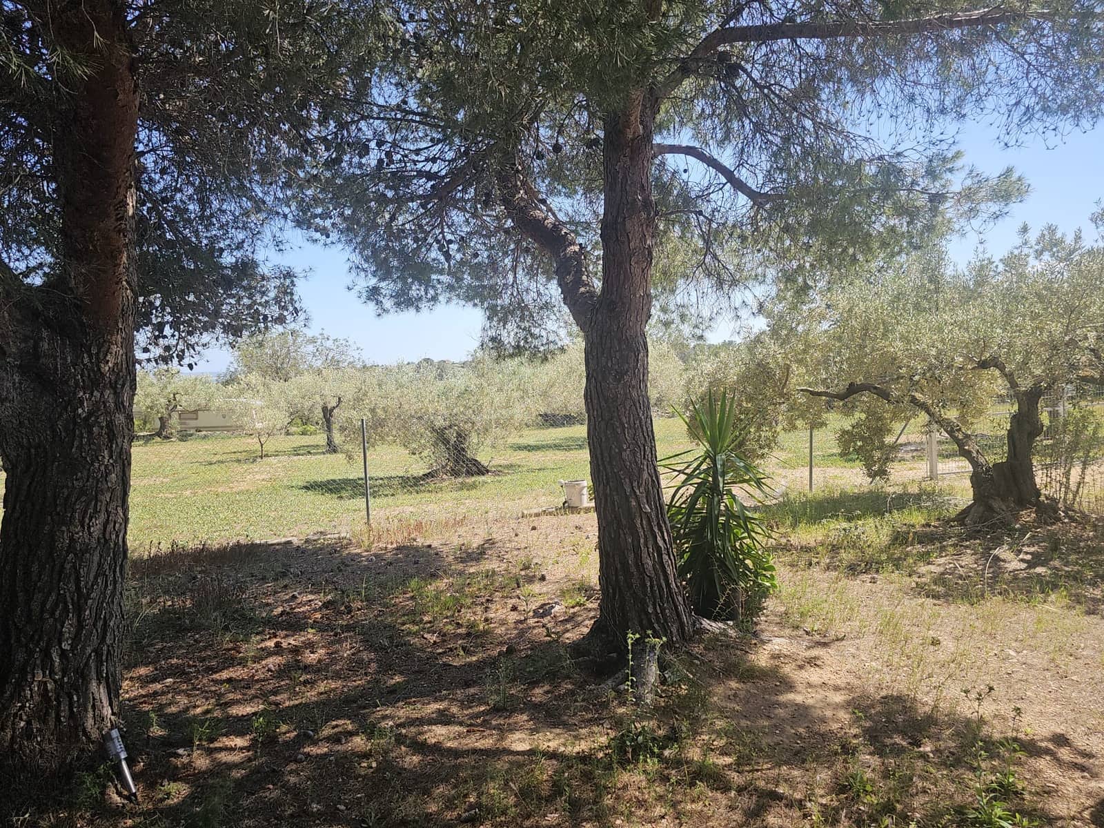 2 soveværelse Finca/Landehus til salg i El Perello - € 115.000 (Ref: 9023861)
