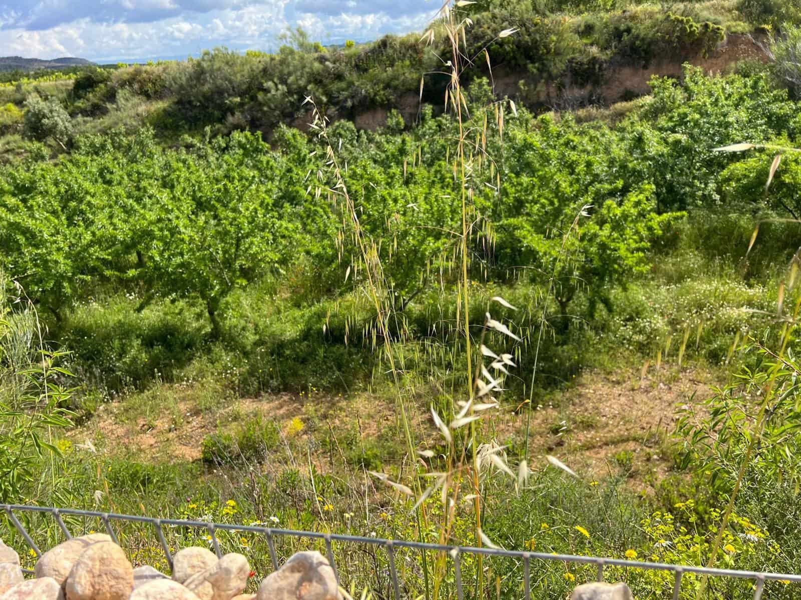 1 soveværelse Finca/Landehus til salg i Corbera d'Ebre med garage - € 92.500 (Ref: 9037462)