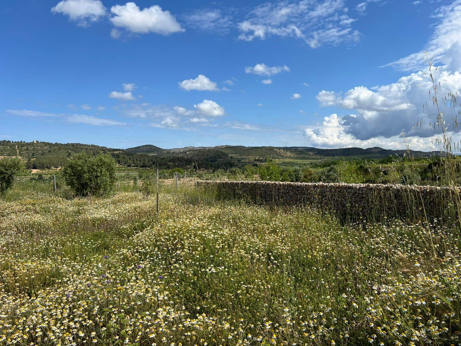 1 soveværelse Finca/Landehus til salg i Corbera d'Ebre med garage - € 92.500 (Ref: 9037462)
