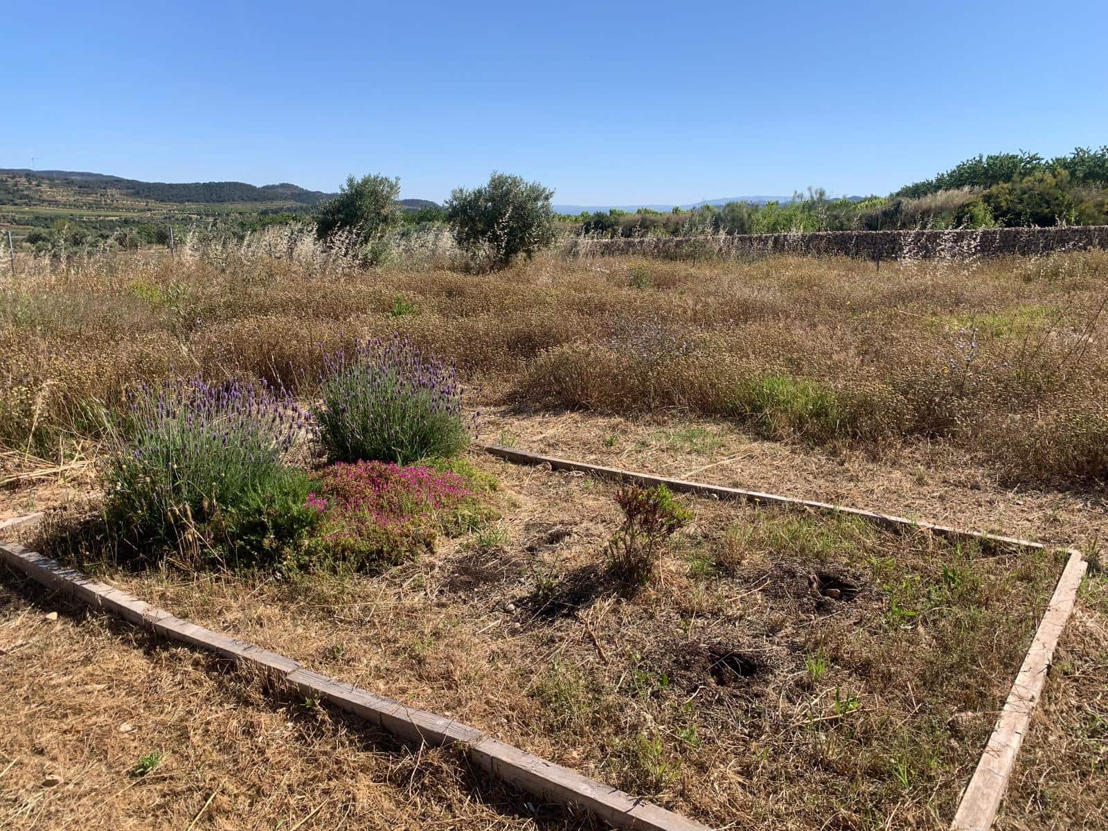 1 soveværelse Finca/Landehus til salg i Corbera d'Ebre med garage - € 92.500 (Ref: 9037462)