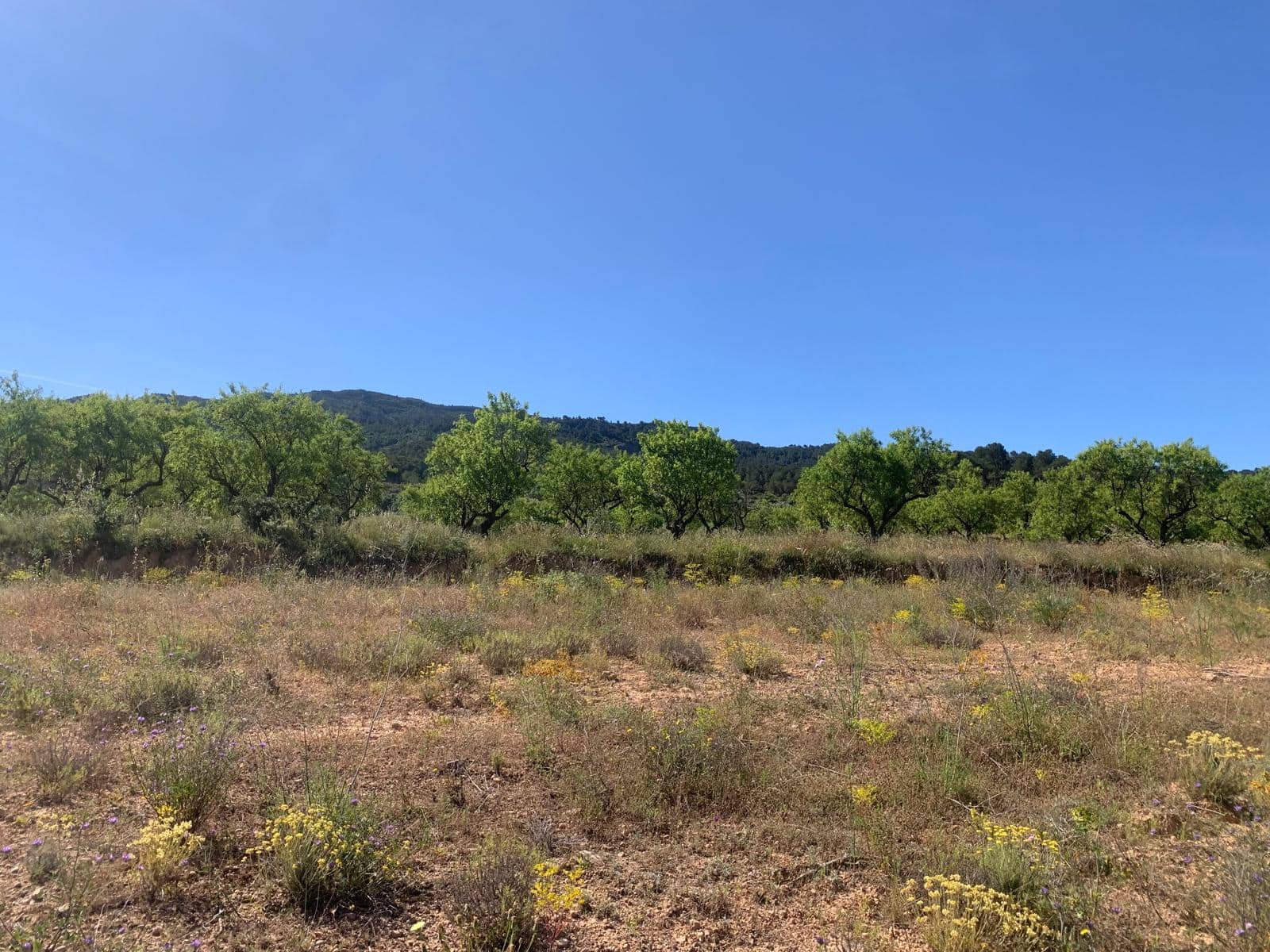 1 soveværelse Finca/Landehus til salg i Corbera d'Ebre med garage - € 92.500 (Ref: 9037462)