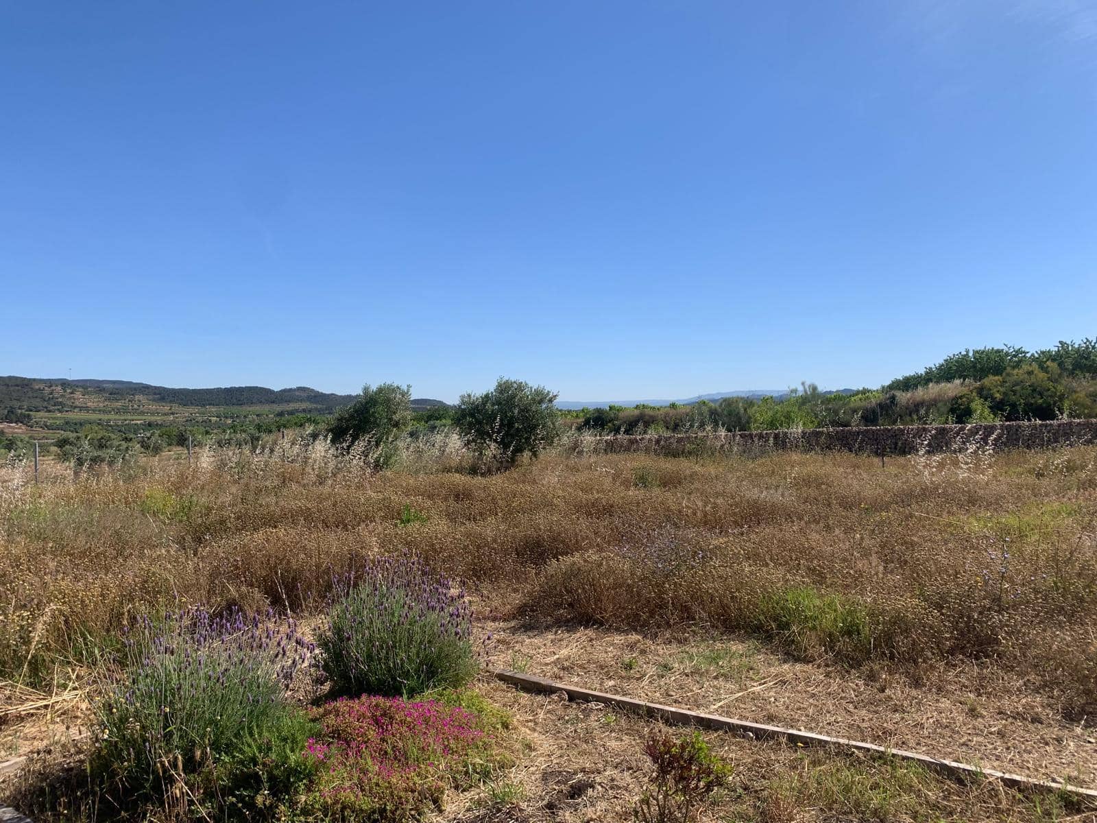 1 soveværelse Finca/Landehus til salg i Corbera d'Ebre med garage - € 92.500 (Ref: 9037462)