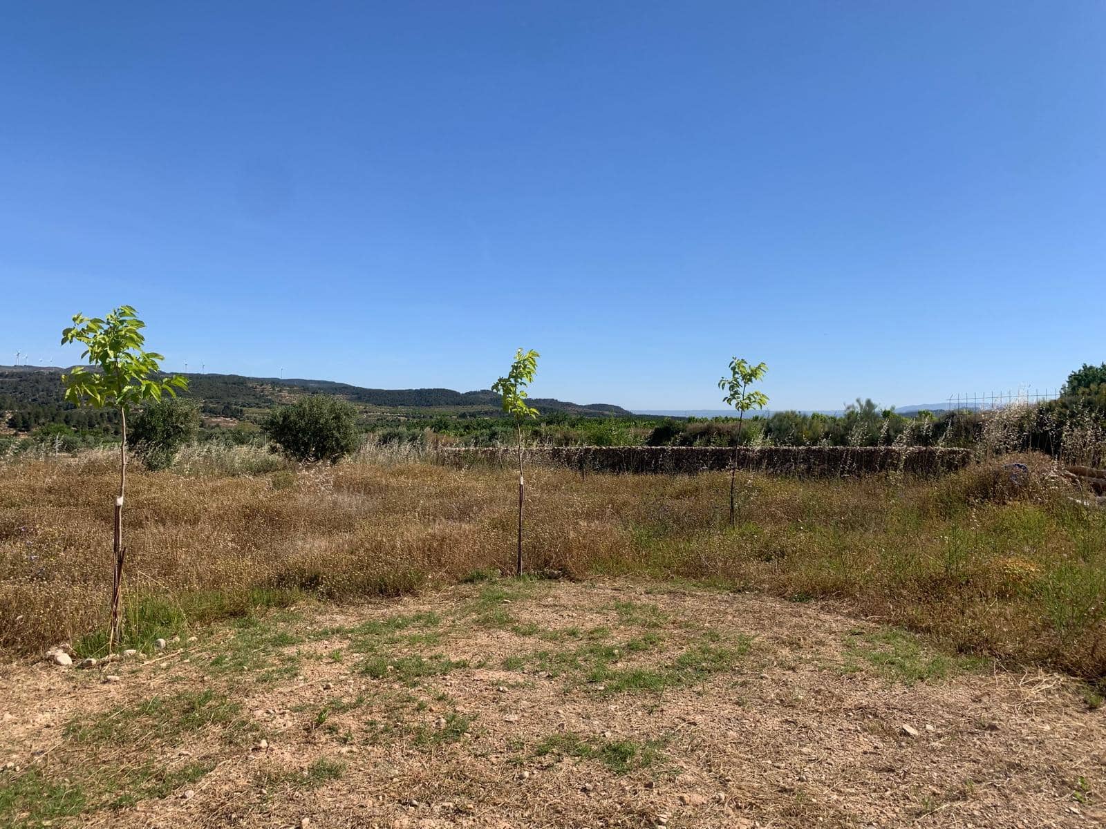 1 soveværelse Finca/Landehus til salg i Corbera d'Ebre med garage - € 92.500 (Ref: 9037462)