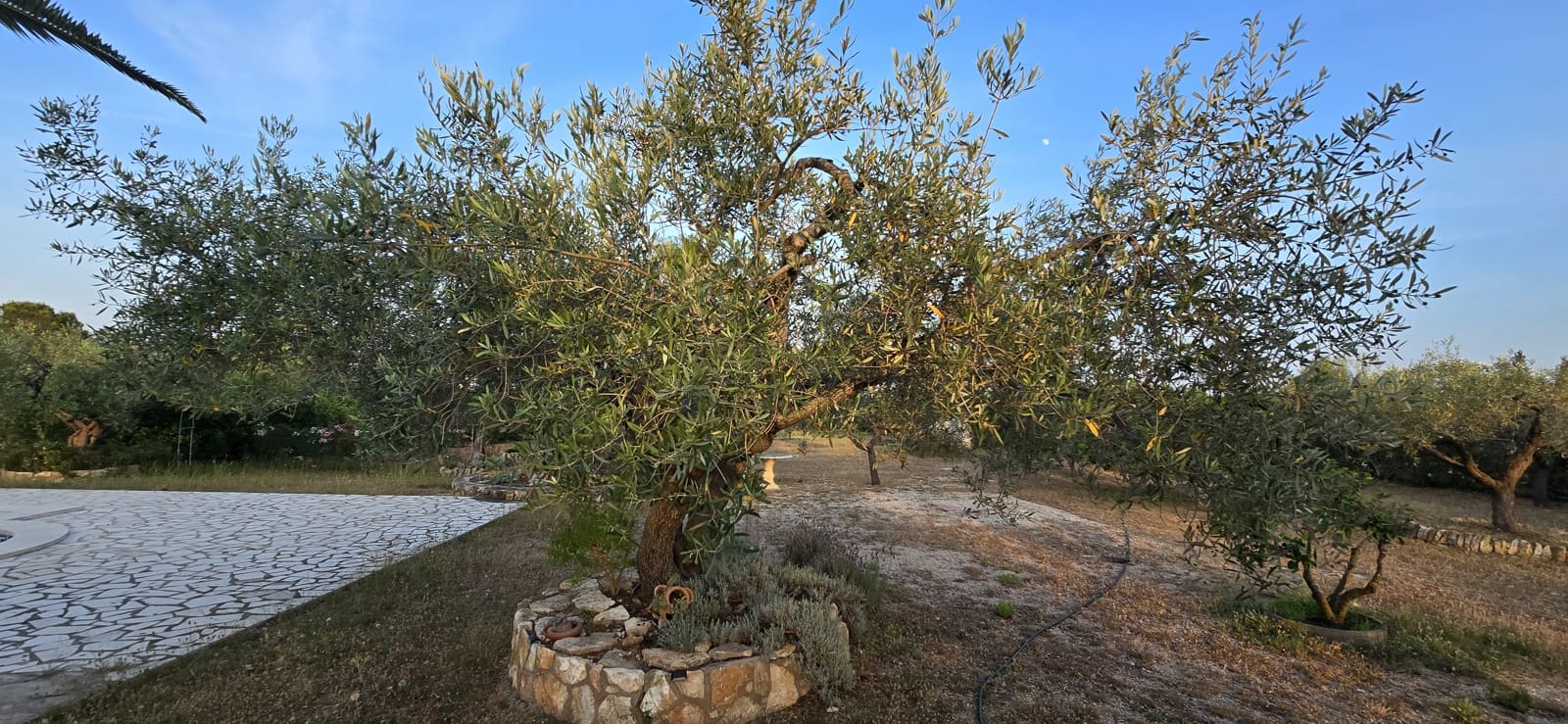 3 soverom Villa til salgs i L'Ampolla med svømmebasseng garasje - € 480 000 (Ref: 9085669)