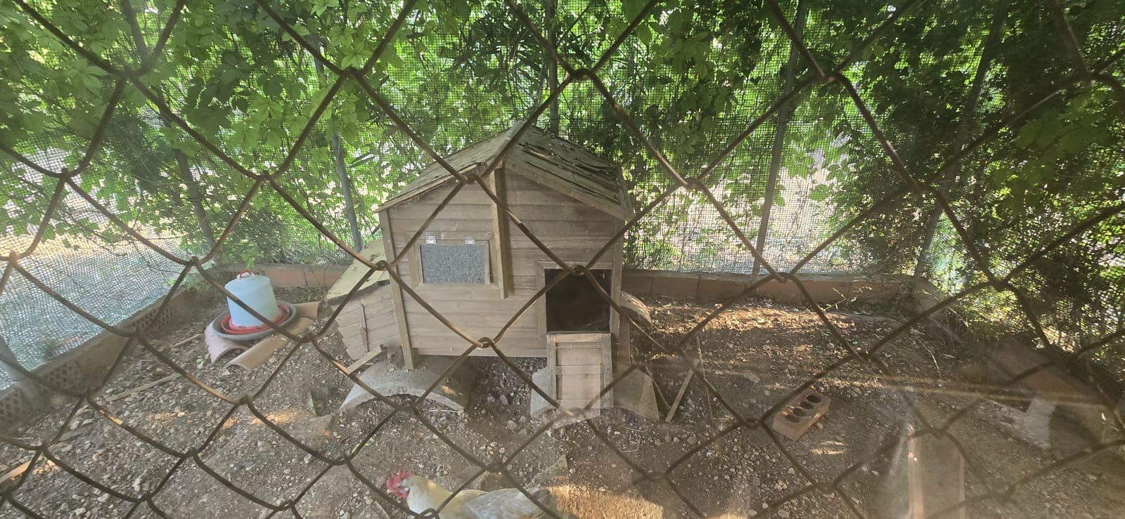 3 soverom Villa til salgs i L'Ampolla med svømmebasseng garasje - € 480 000 (Ref: 9085669)