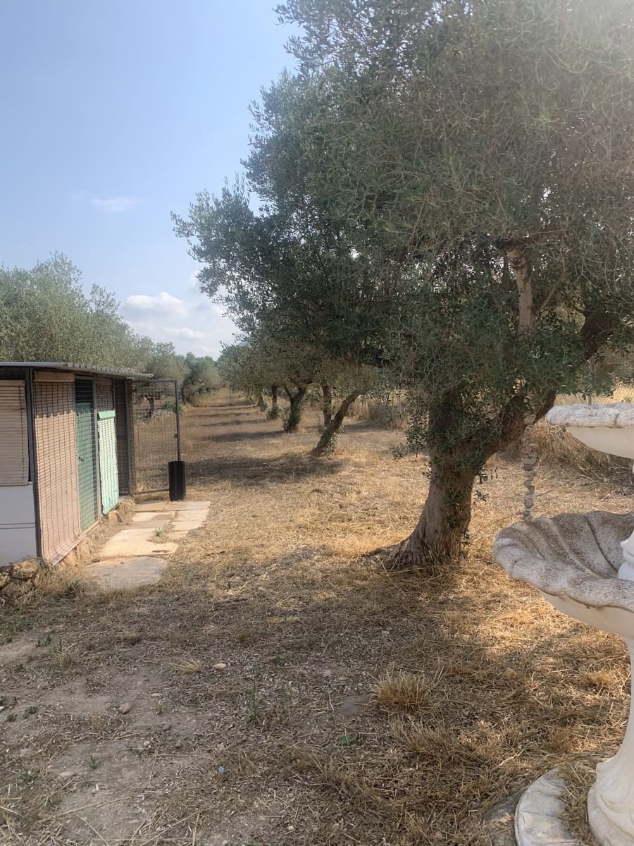 2 soveværelse Lejlighed til salg i Ginestar med garage - € 150.000 (Ref: 9130169)