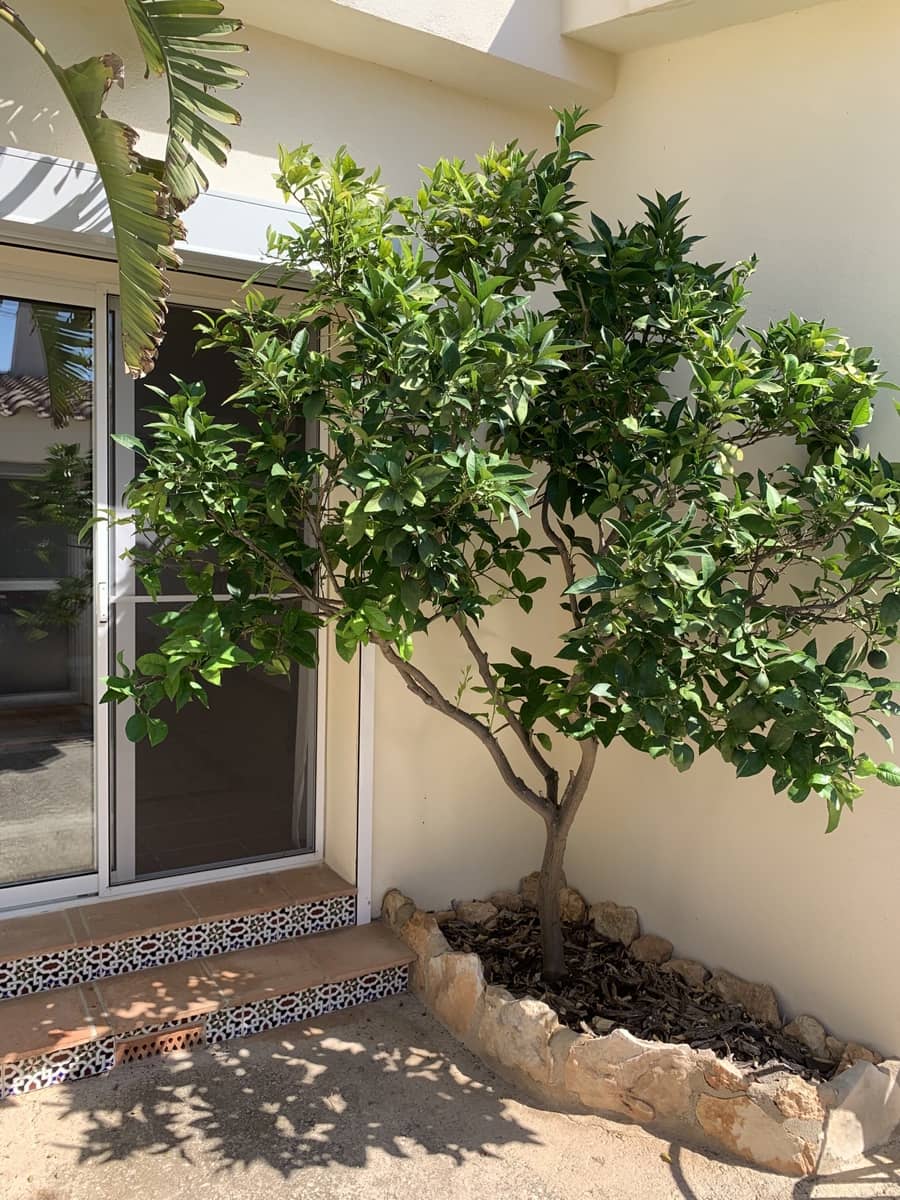 3 soverom Finca/Herregård til salgs i Tortosa med svømmebasseng - € 530 000 (Ref: 9146110)