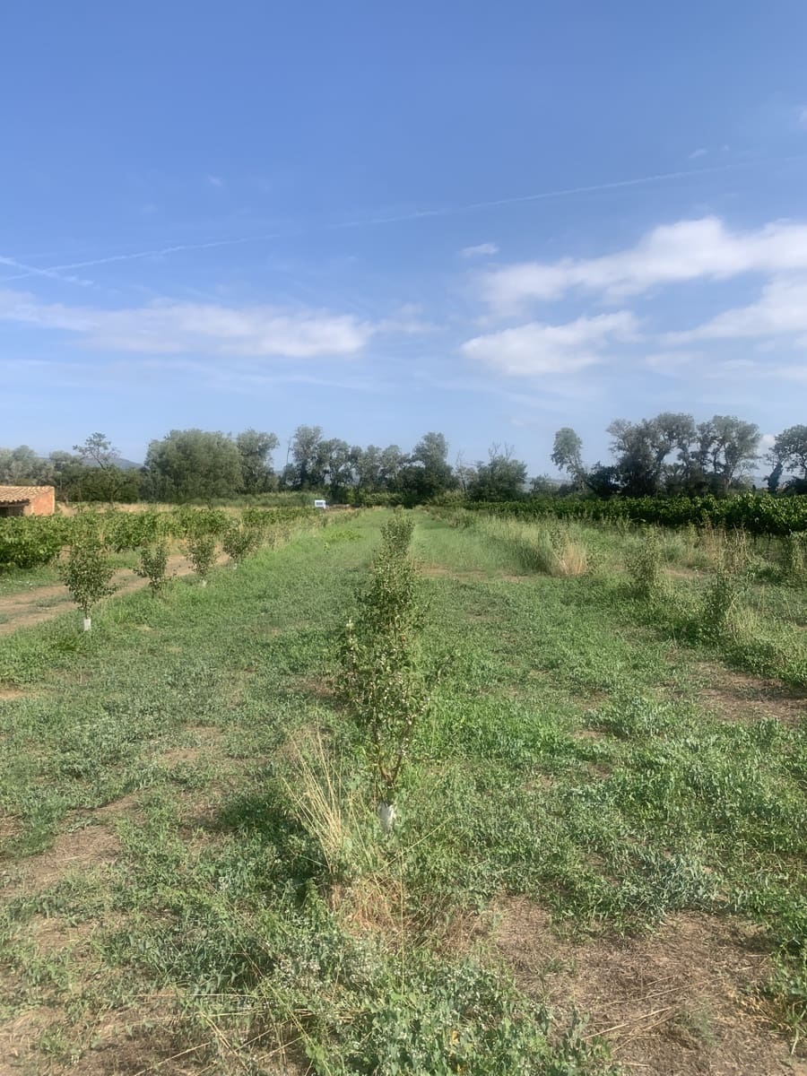 Grunde uden byggetilladelser til salg i Ginestar - € 16.000 (Ref: 9148223)