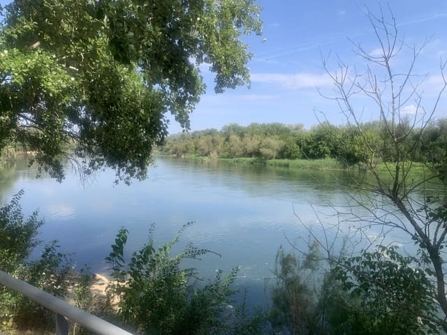 Terreno/Finca Rústica en Ginestar en venta - 16.000 € (Ref: 9148223)