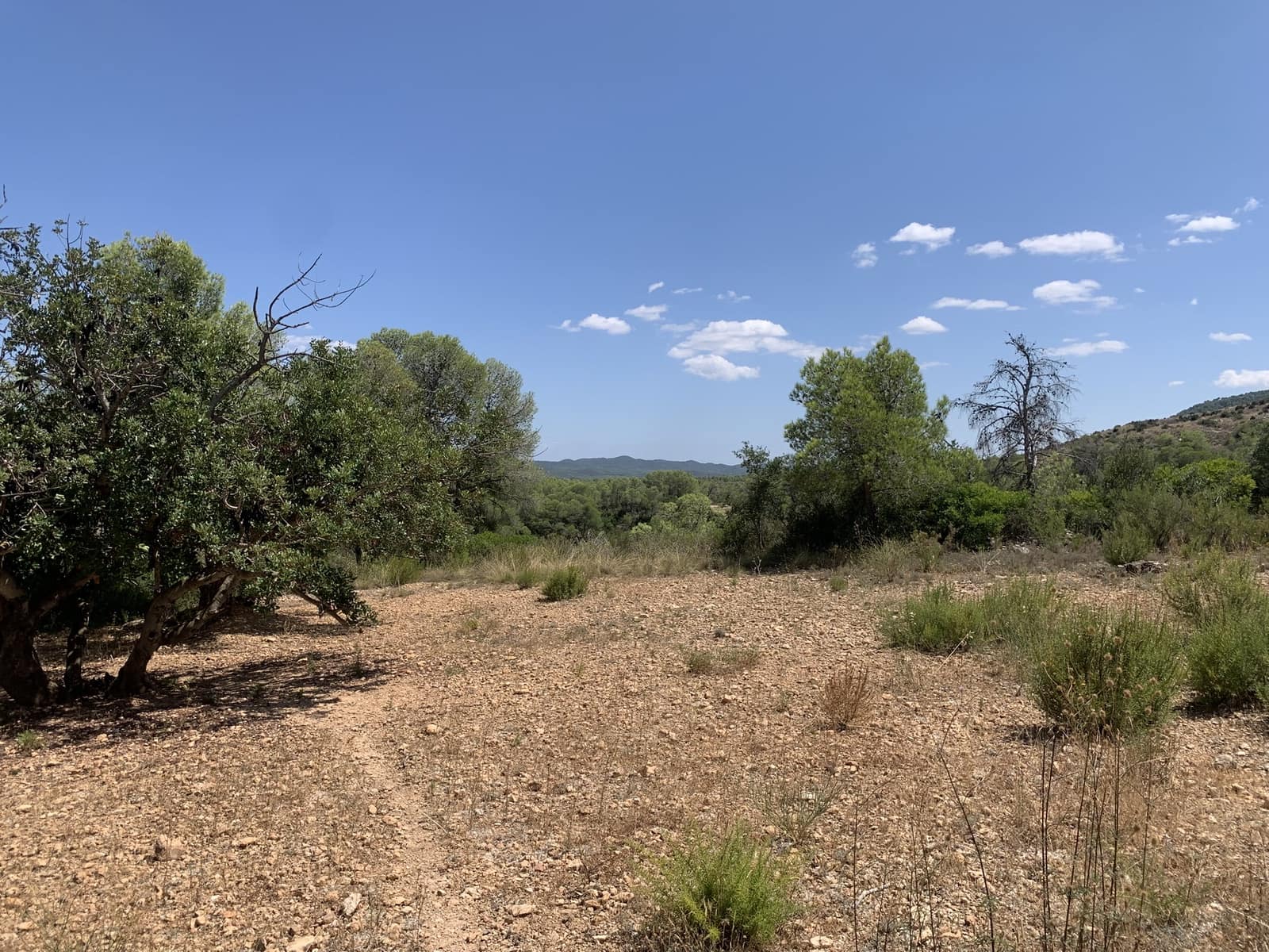 Finca/Casa Rural de 3 habitaciones en Rasquera en venta con garaje - 265.000 € (Ref: 9161348)