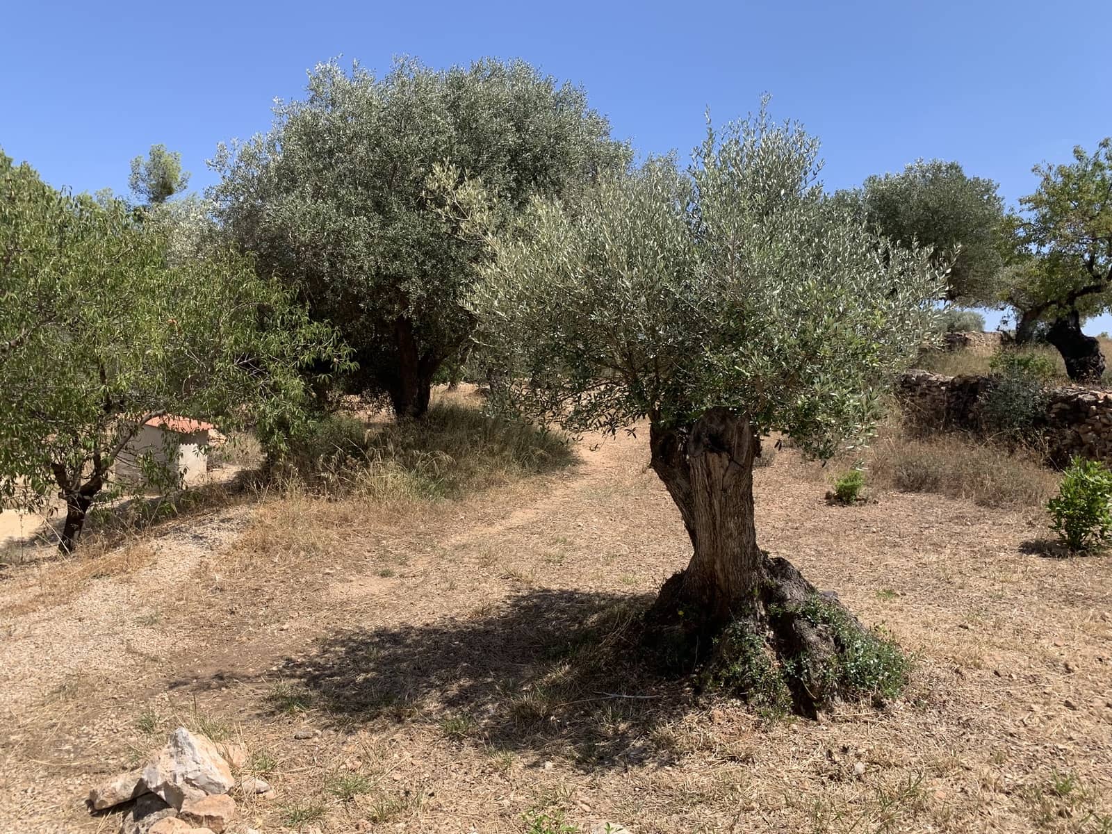 Finca/Casa Rural de 3 habitaciones en Rasquera en venta con garaje - 265.000 € (Ref: 9161348)