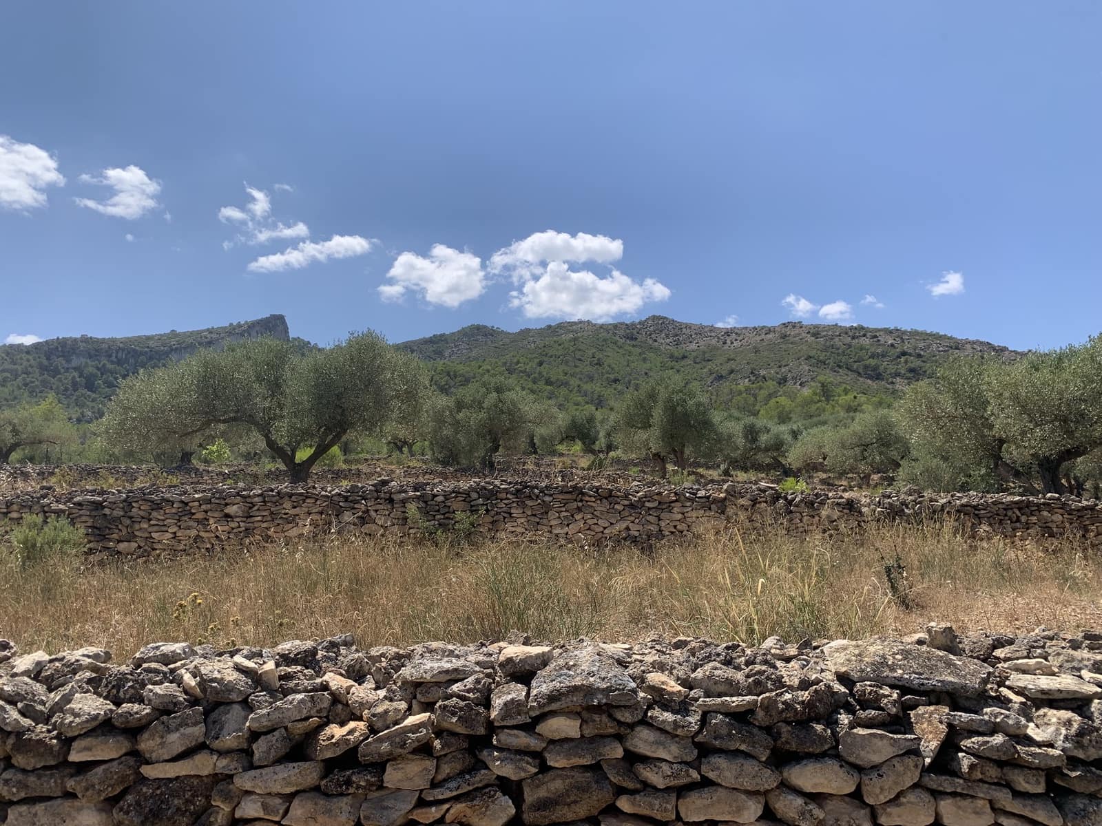 Finca/Casa Rural de 3 habitaciones en Rasquera en venta con garaje - 265.000 € (Ref: 9161348)