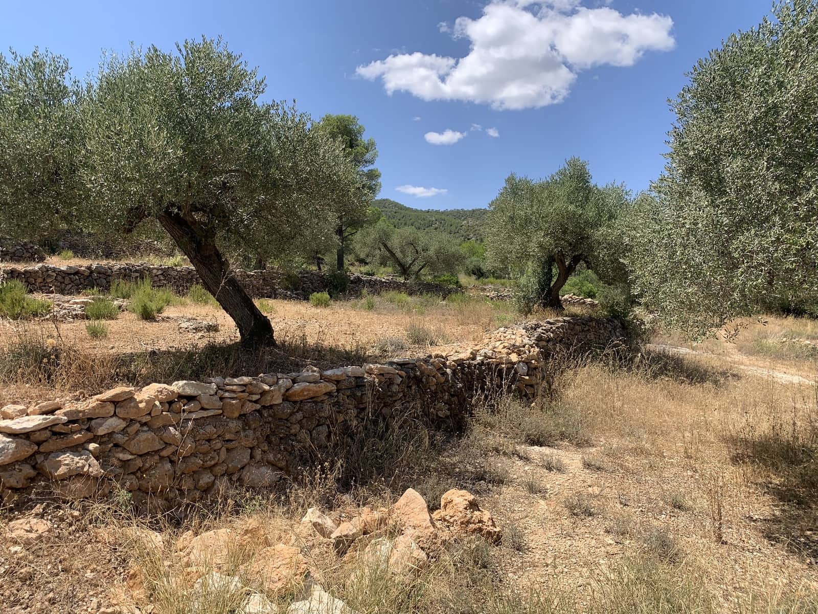 Finca/Casa Rural de 3 habitaciones en Rasquera en venta con garaje - 265.000 € (Ref: 9161348)