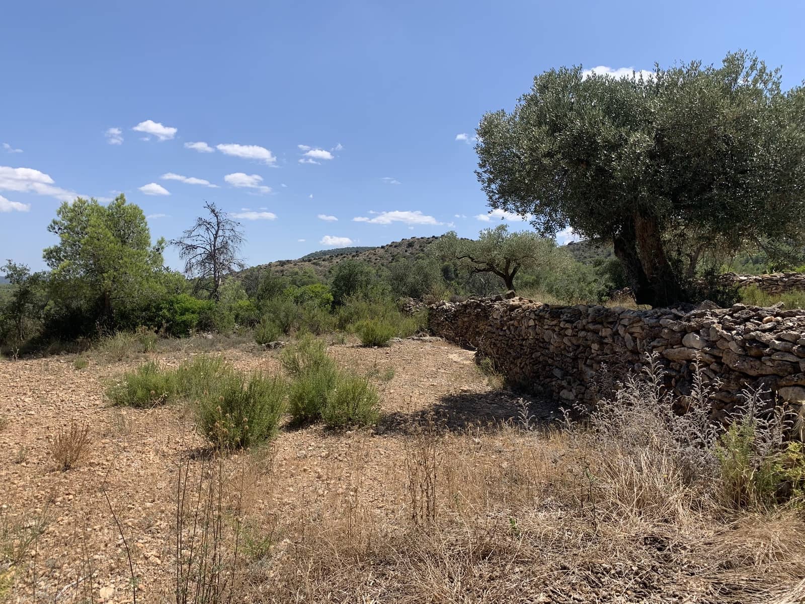 Finca/Casa Rural de 3 habitaciones en Rasquera en venta con garaje - 265.000 € (Ref: 9161348)