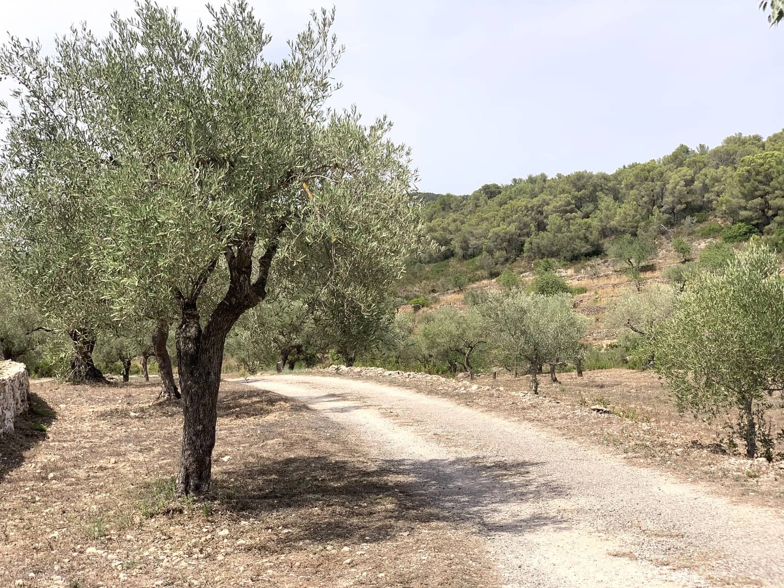 3 soveværelse Finca/Landehus til salg i Tivissa med garage - € 369.000 (Ref: 9166351)