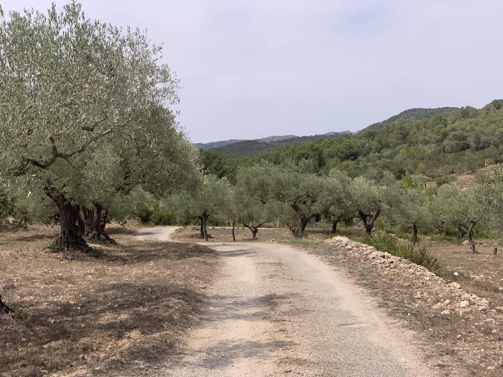 3 soveværelse Finca/Landehus til salg i Tivissa med garage - € 369.000 (Ref: 9166351)