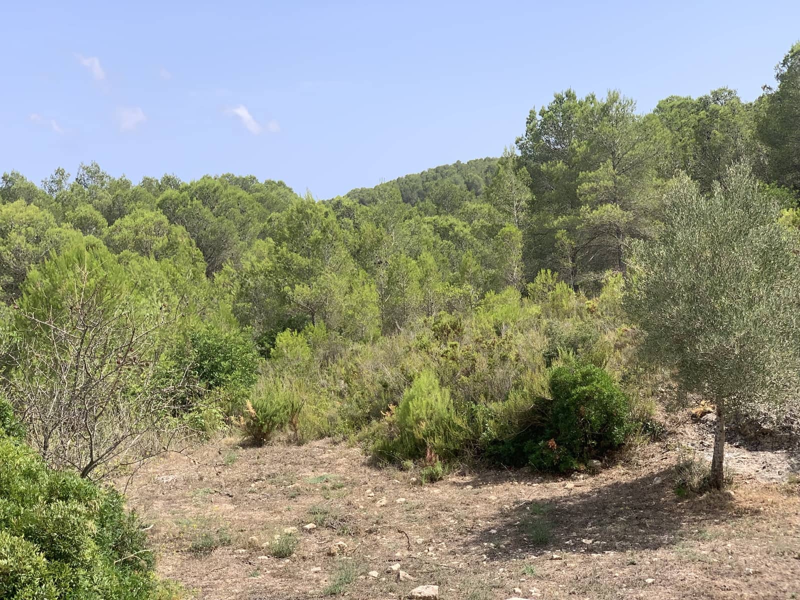 3 soveværelse Finca/Landehus til salg i Tivissa med garage - € 369.000 (Ref: 9166351)