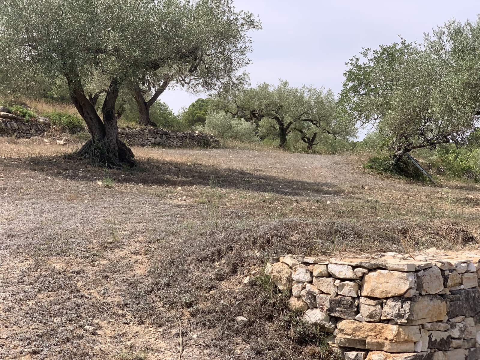 3 soveværelse Finca/Landehus til salg i Tivissa med garage - € 369.000 (Ref: 9166351)