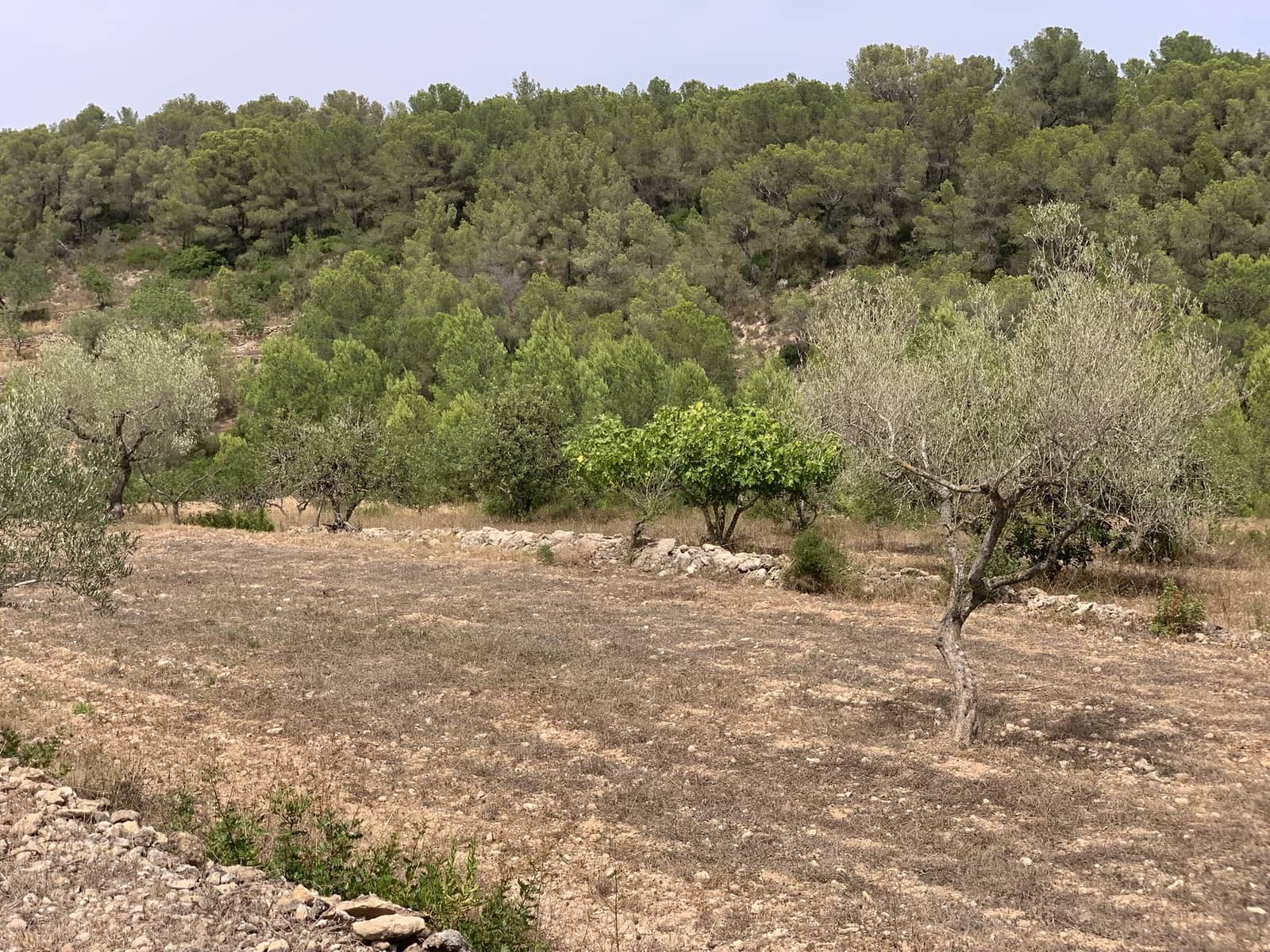 3 soveværelse Finca/Landehus til salg i Tivissa med garage - € 369.000 (Ref: 9166351)