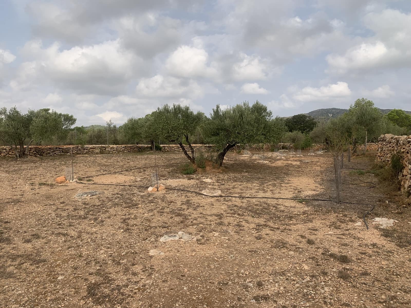 3 camera da letto Finca/Casa di Campagna in vendita in Camp-redo con piscina garage - 364.000 € (Rif: 9207505)