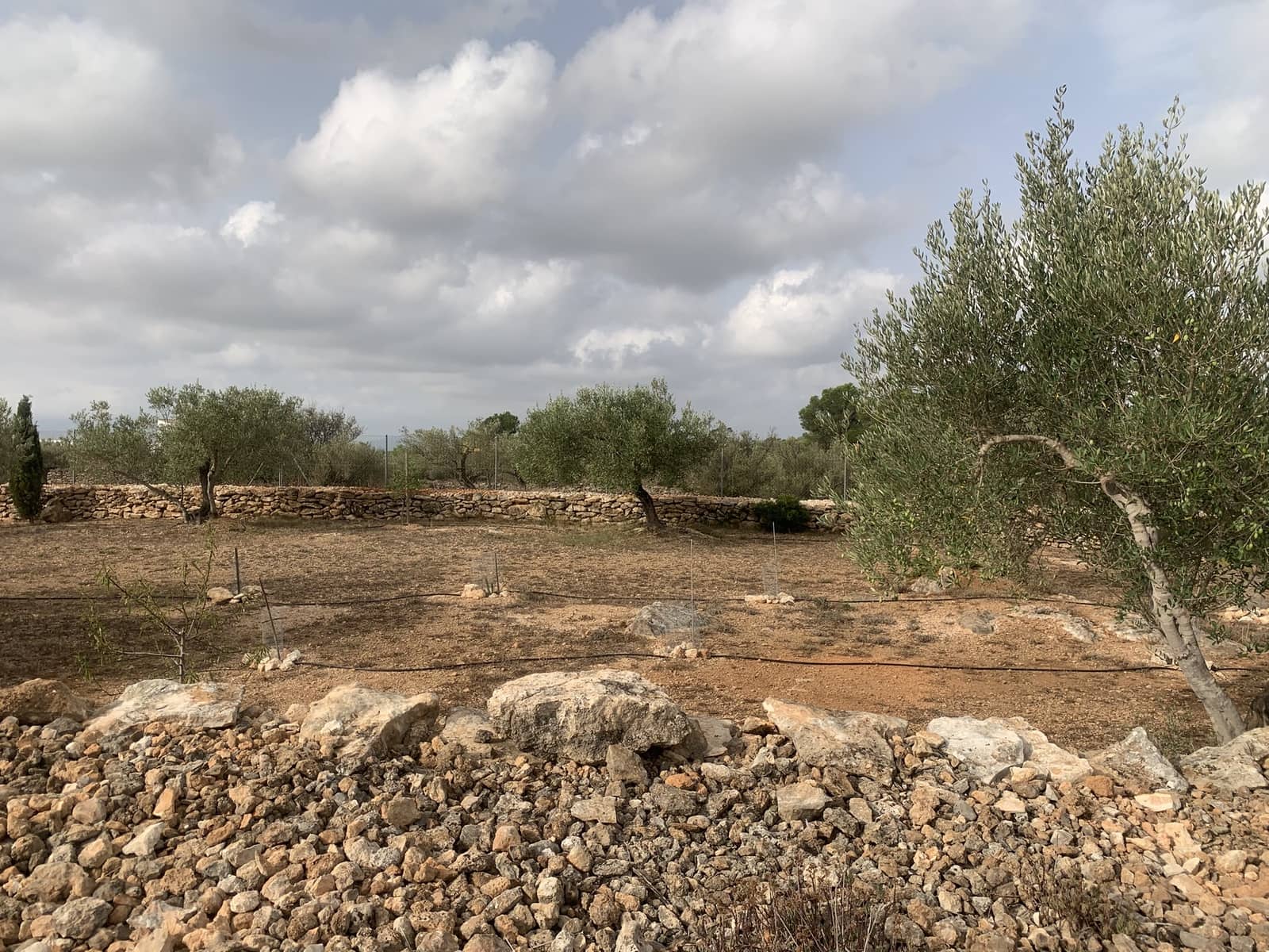 3 camera da letto Finca/Casa di Campagna in vendita in Camp-redo con piscina garage - 364.000 € (Rif: 9207505)