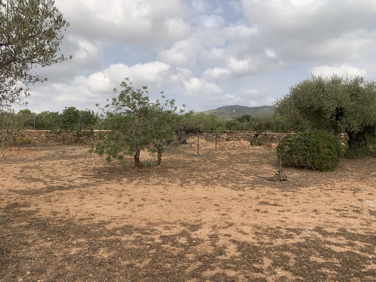 3 camera da letto Finca/Casa di Campagna in vendita in Camp-redo con piscina garage - 364.000 € (Rif: 9207505)